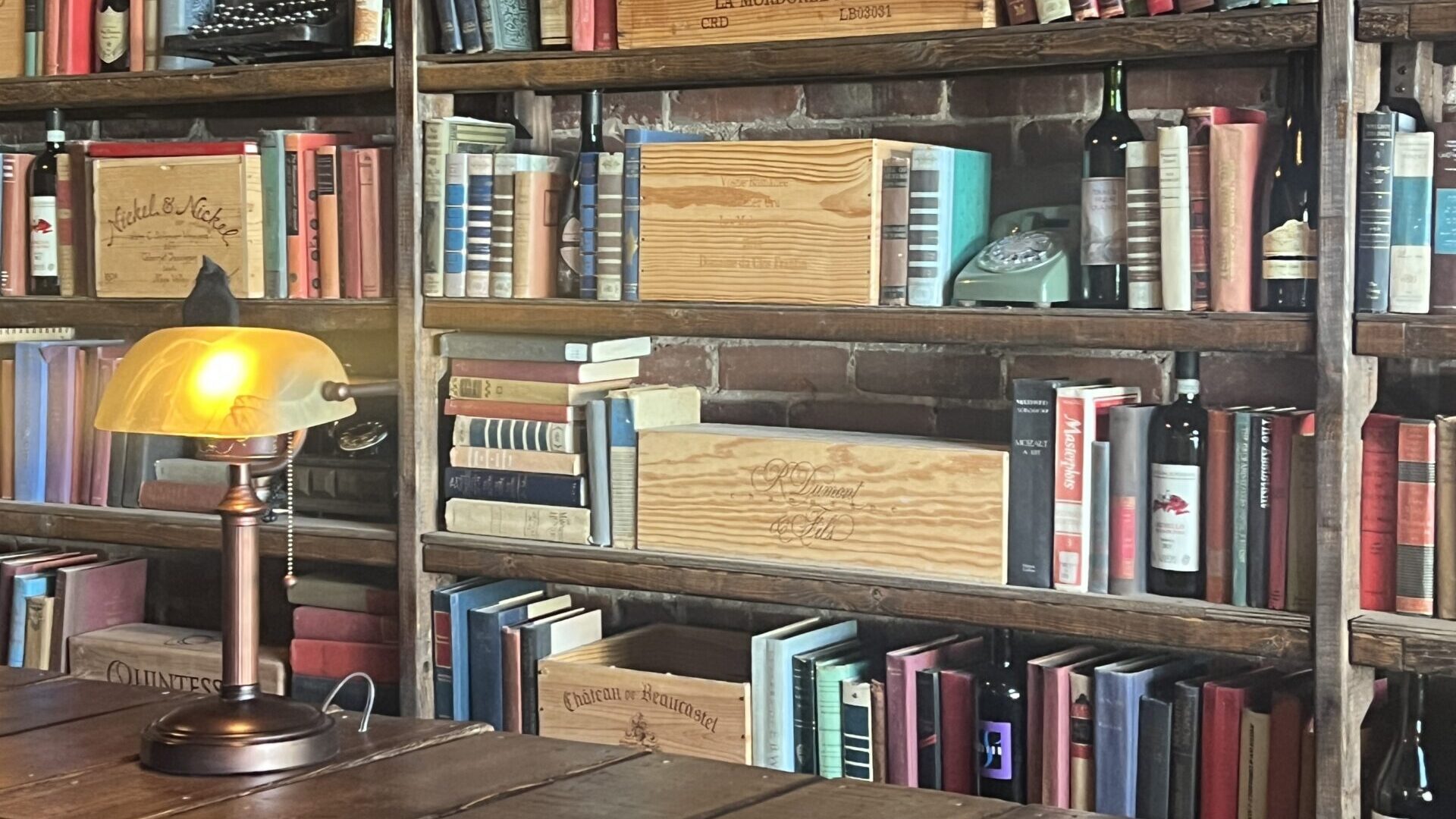 A wall of shelves filled with colorful books